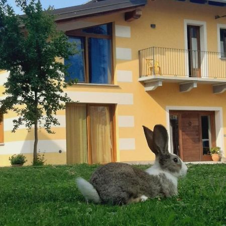 Agriturismo Fior Di Campo Дронеро Экстерьер фото