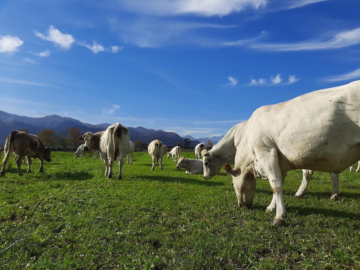 Agriturismo Fior Di Campo Дронеро Экстерьер фото