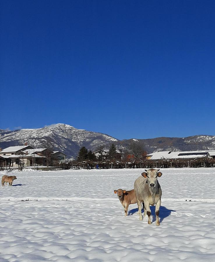 Agriturismo Fior Di Campo Дронеро Экстерьер фото