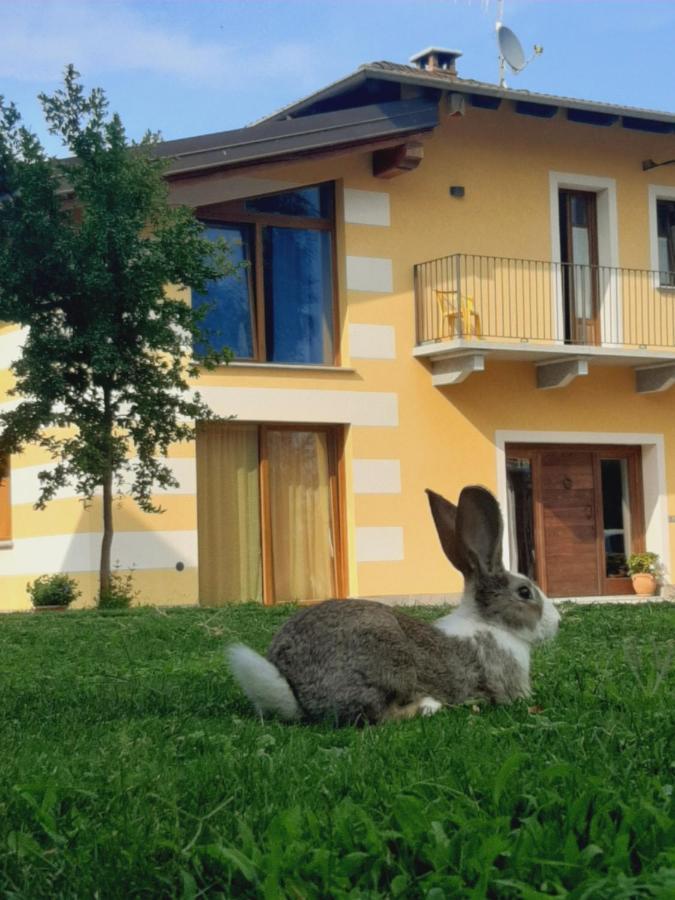 Agriturismo Fior Di Campo Дронеро Экстерьер фото