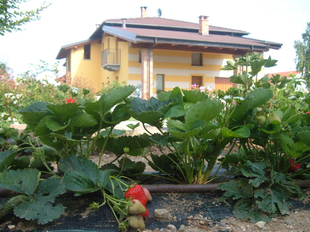 Agriturismo Fior Di Campo Дронеро Экстерьер фото